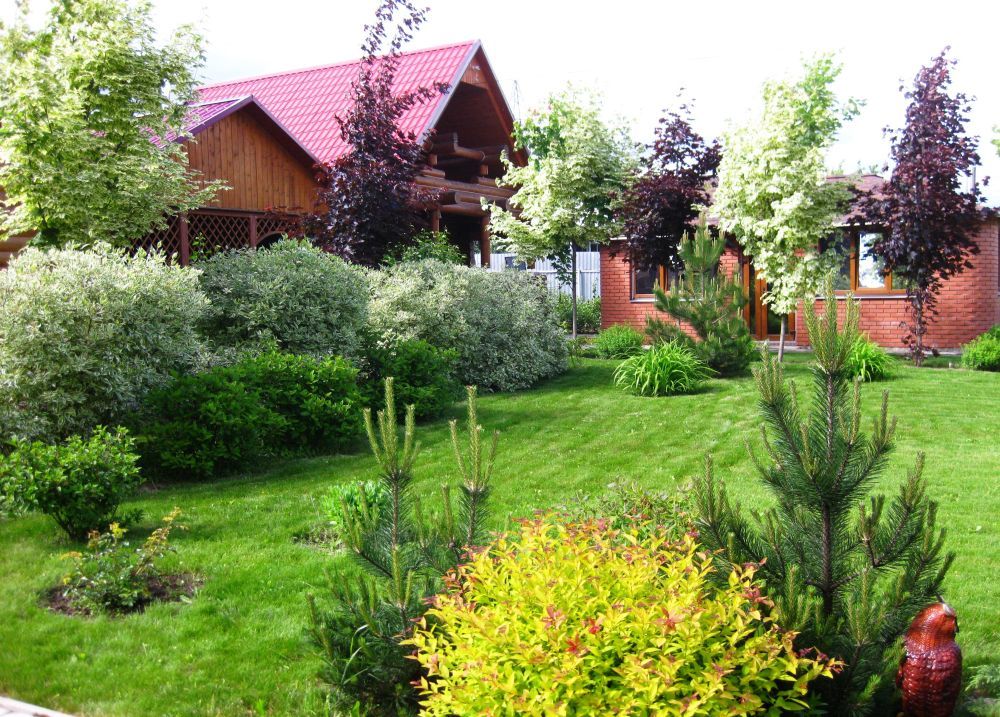 Ландшафтный дизайн с лиственными растениями