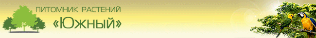 650х80.gif