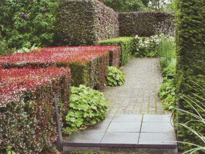Зелёный лабиринт – классика садово-паркового искусства