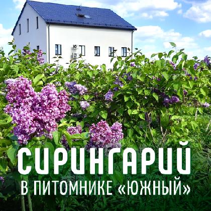 Новости Наш сирингарий!