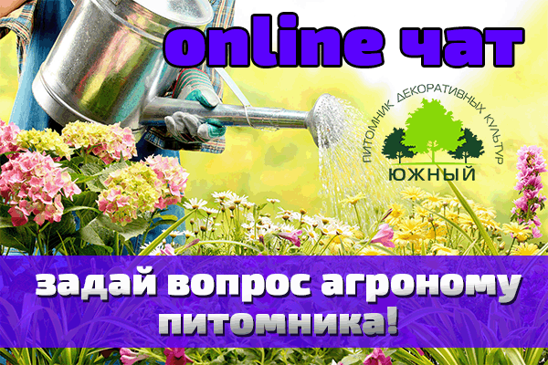 Новости Онлайн чат с главным агрономом