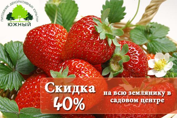 Новости Скидка 40% на весь ассортимент земляники!
