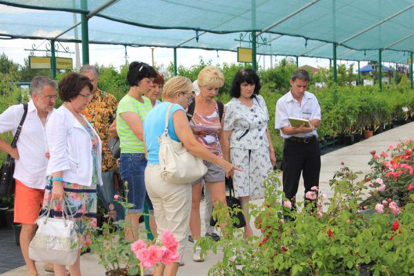 Новости Семинар по особенностям роз