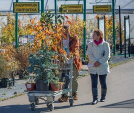 Новости Открытие садового центра переносится