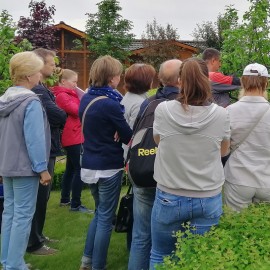 Фотоотчёт по семинару классификация плодовых 25.05.19 Фотоотчёт по семинару классификация плодовых 25.05.19
