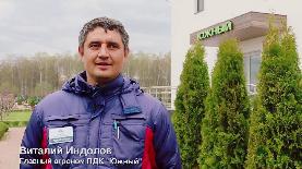 Обрезка хвойных растений