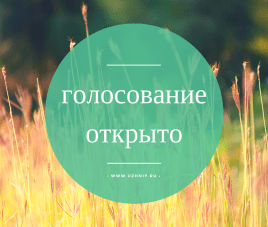 Новости Стартовали голосования в наших конкурсах