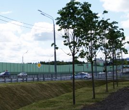 Новости Реконструкция участка автодороги Москва - Дмитров - Дубна