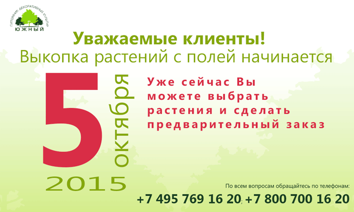 Новости Выкопка растений 2015