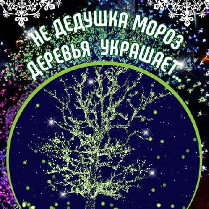 Новости Новая услуга украшение гирляндами