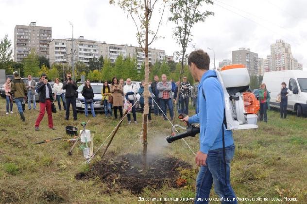Новости Содержание зеленых насаждений в Москве