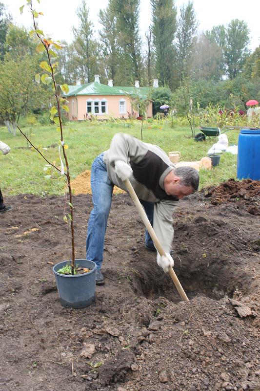 "Полезные выходные" в музее А.П.Чехова в Мелихове "Полезные выходные" в музее А.П.Чехова в Мелихове
