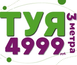 Новости Туя 3 метра за 4999 руб.