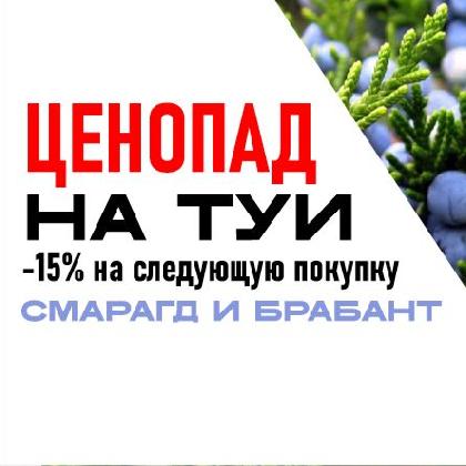 Новости Ценопад на туи! И подарок каждому покупателю! 