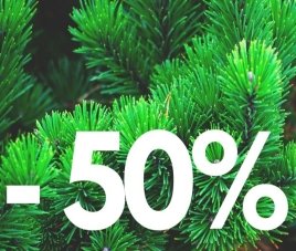 Новости Почти даром! Скидка 50 % 