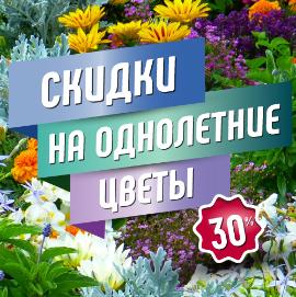 Новости Скидка 30% на однолетние цветы 