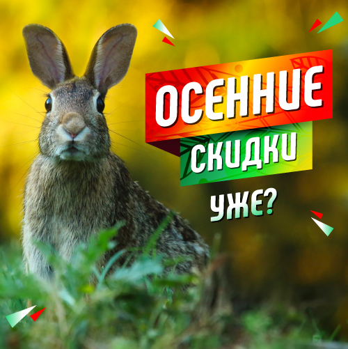 Огромные ОСЕННИЕ скидки уже сейчас!