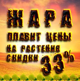 Новости ЖАРА! Скидка 33% на все растения! 14 и 15 июля 2021