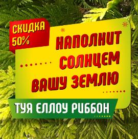 Новости Скидка 50% на Туи Еллоу риббон