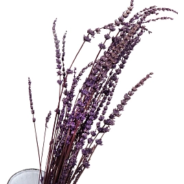 Цветок СУХОЦВЕТЫ ЛАВАНДА фиолетовый 4-5316