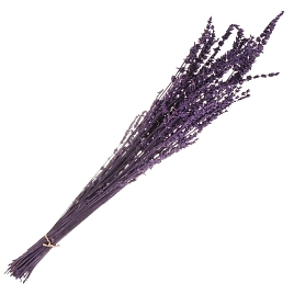 Цветок искусственный СУХОЦВЕТЫ фиолетовый 60см 6-10347